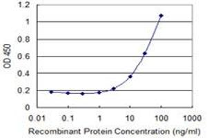 Detection limit for recombinant GST tagged ZNF266 is 1 ng/ml as a capture antibody. (ZNF266 Antikörper  (AA 274-346))