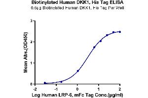 ELISA image for Dickkopf Homolog 1 (DKK1) (AA 32-266) protein (His-Avi Tag,Biotin) (ABIN7274469)