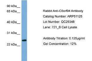 WB Suggested Anti-C6orf94  Antibody Titration: 0. (FAM164B Antikörper  (N-Term))
