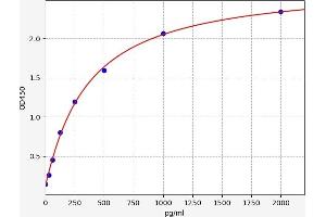 Caspase 12 ELISA Kit