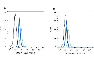 Establishing the effectiveness of the Rabbit IgG Isotype Control-ATTO Fluor-550 (ABIN7582042), alongside cell surface detection of AT1R by direct flow cytometry in a live intact mouse J774 macrophage cell line. (Kaninchen IgG isotype control (Atto 550))