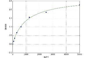 Dystrobrevin Binding Protein 1 (DTNBP1) ELISA Kit