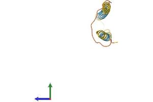 AlphaFold protein structure predicition of Human Recombinant LINC00312 Protein, UniprotID Q9Y6C7