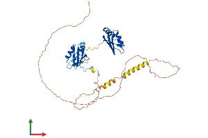 AlphaFold protein structure predicition of Mouse Recombinant Rbm4 Protein, UniprotID Q8C7Q4