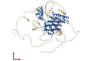 Protein Structure (PS) image for Regulatory Factor X, 1 (Influences HLA Class II Expression) (RFX1) (AA 1-963) protein (His tag) (ABIN7563311)