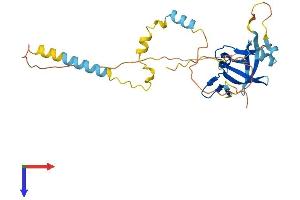 NRIP2 Protein (AA 1-281) (His tag)
