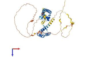 OCT4 Protein (AA 1-352) (His tag)