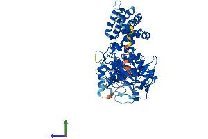 Protein Structure (PS) image for G Protein-Coupled Receptor Kinase 6 (GRK6) (AA 1-576) protein (His tag) (ABIN7562528)