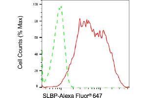 Flow cytometric analysis of SLBP expression in HeLa cells using SLBP antibody (ABIN7800436), 1:2,000). (Rekombinanter SLBP Antikörper)