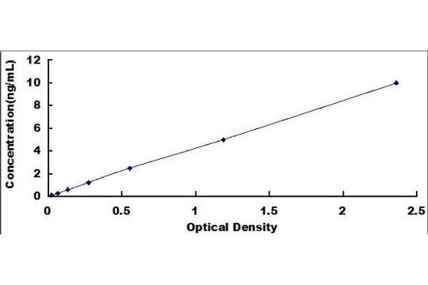 BMP2 ELISA Kit