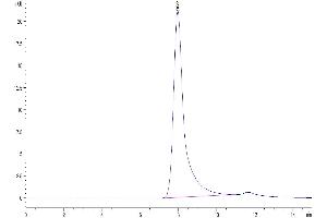 Size-exclusion chromatography-High Pressure Liquid Chromatography (SEC-HPLC) image for Coagulation Factor XI (F11) (AA 19-625) protein (His tag) (ABIN7274693)