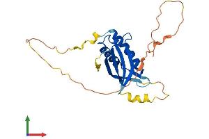 Protein Structure (PS) image for DNA-Damage-Inducible Transcript 4 (DDIT4) (AA 1-232) protein (His tag) (ABIN7553660)