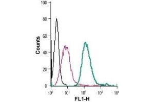 Cell surface detection of GPR91 in live intact mouse J774 macrophage cells: (black line) Cells. (SUCNR1 Antikörper  (Extracellular) (FITC))