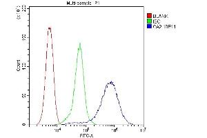 Flow Cytometry analysis of 293T cells using anti-CA2 antibody (ABIN6719533). (CA2 Antikörper  (AA 2-260))