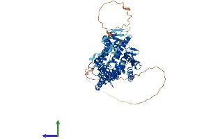 Protein Structure (PS) image for Lamin B Receptor (LBR) (AA 1-615) protein (His tag) (ABIN7548886)