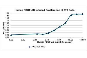 SDS-PAGE of Human Platelet Derived Growth Factor-AB Recombinant Protein Bioactivity of Human Platelet Derived Growth Factor-AB Recombinant Protein. (PDGF-AB Heterodimer Protein)