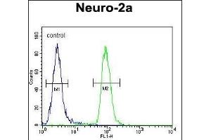 CIRH1A Antibody (N-term) (ABIN653909 and ABIN2843146) flow cytometric analysis of Neuro-2a cells (right histogram) compared to a negative control cell (left histogram). (CIRH1A Antikörper  (N-Term))