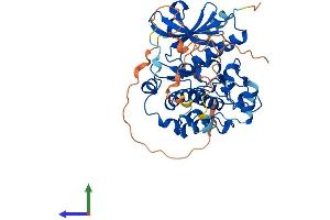 AlphaFold protein structure predicition of Mouse Recombinant Strada Protein, UniprotID Q3UUJ4