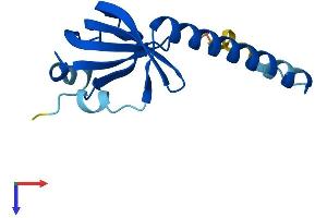 LSM1 Protein (AA 1-133) (His tag)