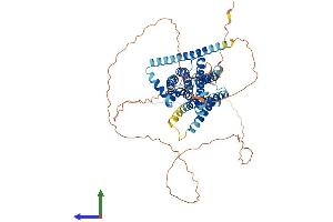 Protein Structure (PS) image for G Protein-Coupled Receptor 50 (GPR50) (AA 1-591) protein (His tag) (ABIN7562613)