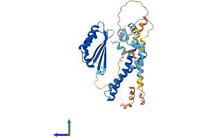 AlphaFold protein structure predicition of Human Recombinant NECAB3 Protein, UniprotID Q96P71 (NECAB3 Protein (AA 1-396) (His tag))