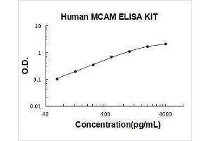Melanoma Cell Adhesion Molecule (MCAM) ELISA Kit