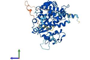 Protein Structure (PS) image for Carbohydrate (Keratan Sulfate Gal-6) Sulfotransferase 1 (CHST1) (AA 1-411) protein (His tag) (ABIN7565033)