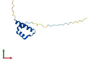 AlphaFold protein structure predicition of Mouse Recombinant Ctnnbip1 Protein, UniprotID Q9JJN6