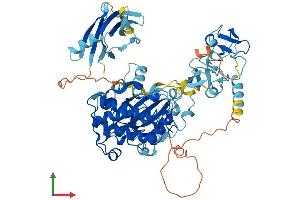 Protein Structure (PS) image for Protein Kinase C, delta (PKCd) (AA 1-676) protein (His tag) (ABIN7554352)
