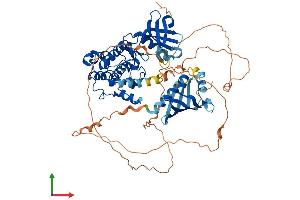 AlphaFold protein structure predicition of Human Recombinant CAMK2B Protein, UniprotID Q13554