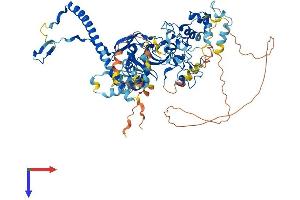 EZH2 Protein (AA 1-746) (His tag)
