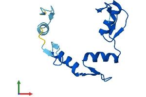 AlphaFold protein structure predicition of Human Recombinant ZNF702P Protein, UniprotID Q9H963