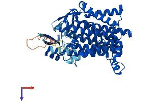 DHCR7 Protein (AA 1-471) (His tag)