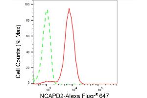 Flow cytometric analysis of NCAPD2 expression in HepG2 cells using NCAPD2 antibody (ABIN7800957), 1:2,000). (Rekombinanter NCAPD2 Antikörper)