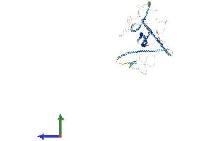AlphaFold protein structure predicition of Mouse Recombinant Cgn Protein, UniprotID P59242 (Cingulin Protein (CGN) (AA 1-1191) (His tag))