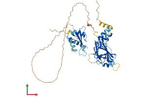 Protein Structure (PS) image for Interferon Regulatory Factor 9 (IRF9) (AA 1-399) protein (His tag) (ABIN7557677)