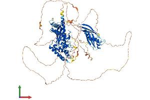 Protein Structure (PS) image for Interleukin enhancer-binding factor 3 (ILF3) (AA 1-894) protein (His tag) (ABIN7554167)