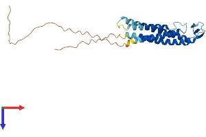 SSPN Protein (AA 1-243) (His tag)