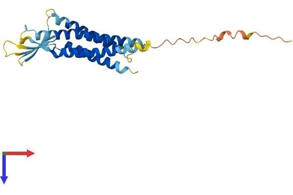 Claudin 17 Protein (CLDN17) (AA 1-224) (His tag)