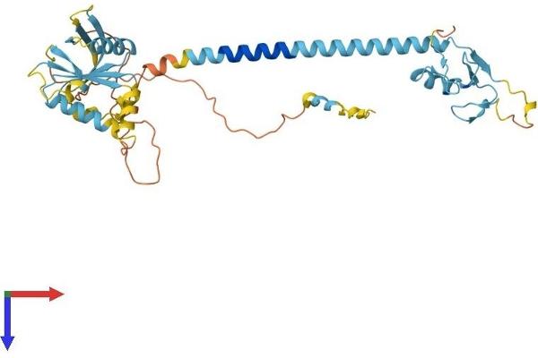 RNF215 Protein (AA 1-377) (His tag)
