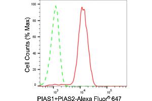 Flow cytometric analysis of PIAS1+PIAS2 expression in HeLa cells using PIAS1+PIAS2 antibody (ABIN7798418), 1:2,000). (Rekombinanter E3 SUMO-Protein Ligase PIAS3 (LOC101740849) Antikörper)