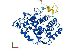 Protein Structure (PS) image for Myo-Inositol Oxygenase (MIOX) (AA 1-285) protein (His tag) (ABIN7561753)