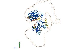 Protein Structure (PS) image for X-Ray Repair Complementing Defective Repair in Chinese Hamster Cells 1 (XRCC1) (AA 1-633) protein (His tag) (ABIN7545206)