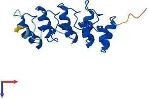 CDKN2C Protein (AA 1-168) (His tag)
