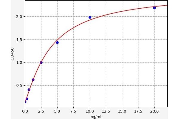 CD93 ELISA Kit