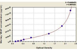 Typical Standard Curve (VEGFA ELISA Kit)