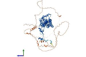 AlphaFold protein structure predicition of Human Recombinant BEST3 Protein, UniprotID Q8N1M1