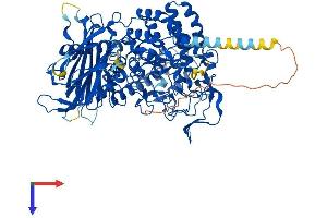 GCS1 Protein (AA 1-837) (His tag)