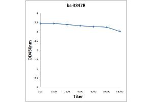 Antigen: 0. (PRK1 /PRK2 (pThr816) Antikörper)