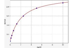 Typical standard curve (CD13 ELISA Kit)